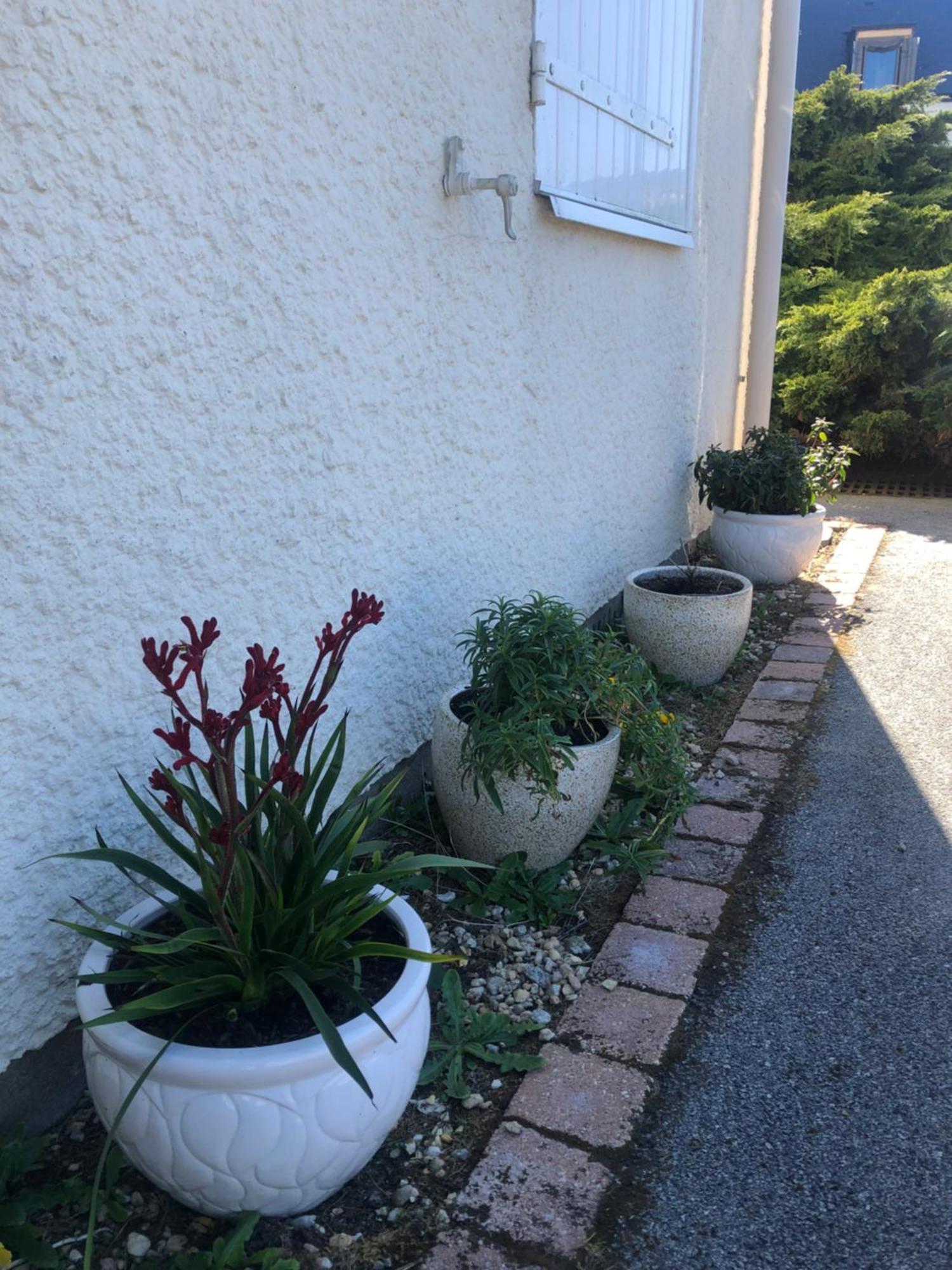 Arzon Maisonnette Cosy Kerkarin المظهر الخارجي الصورة